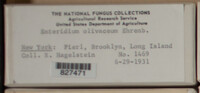 Image Associated With the Occurence